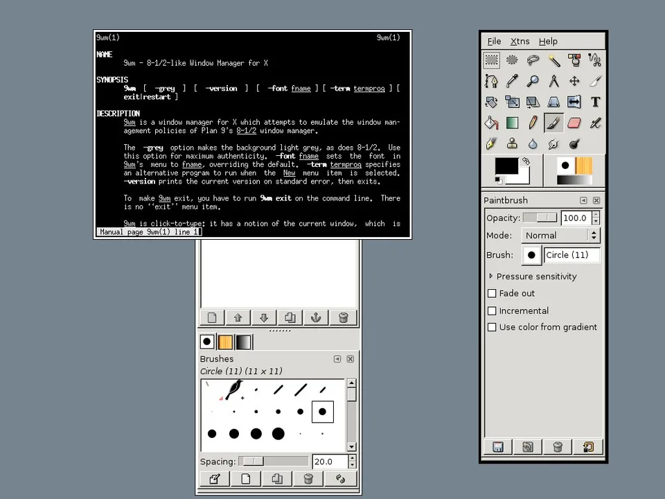 9wm on Debian