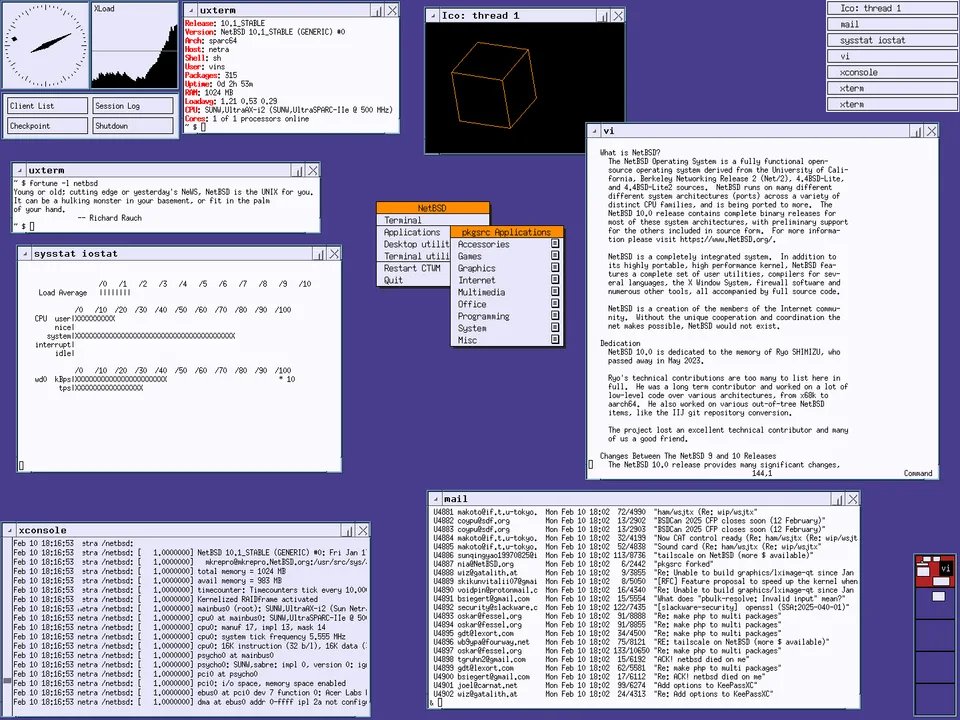 NetBSD 10.1 default CTWM desktop