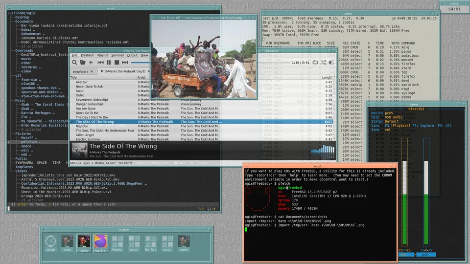 FSWM desktop screenshot