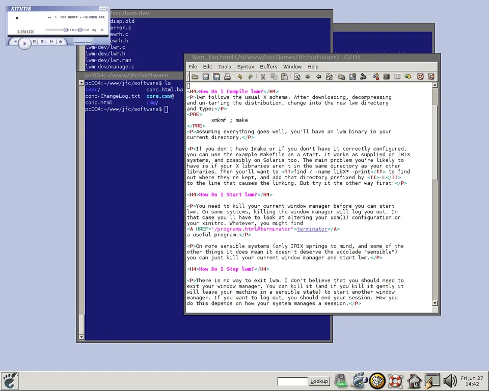 lwm desktop screenshot