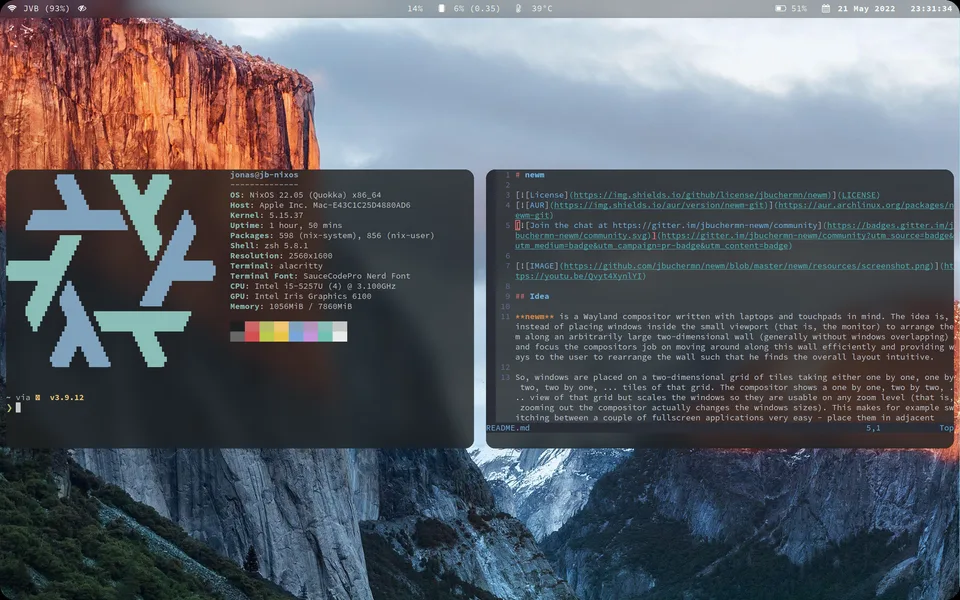 newm desktop with terminal windows