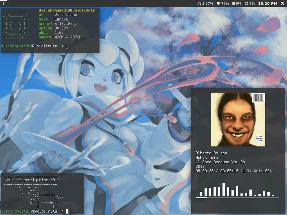 SwayFX on Void Linux