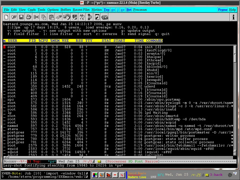 SXEmacs system processes under XWEM